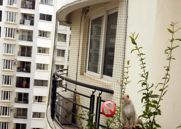 Supreme Netting Balcony Net for Pigeons in Uppal, Banjara Hills, Jubilee Hills, Hi-Tech City, Khairatabad, Ameerpet, Kukatpally, LB Nagar, Manikonda, Hyderabad, Madhapur, Secunderabad, Kondapur