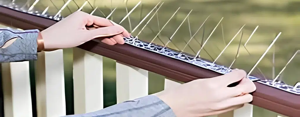 Supreme Netting Pigeon Spikes and Anti Bird Spikes in Jubilee Hills, Banjara Hills, Hi-Tech City, Kondapur, LB Nagar, Secunderabad, Manikonda, Khairatabad, Ameerpet, Kukatpally, Madhapur and Hyderabad