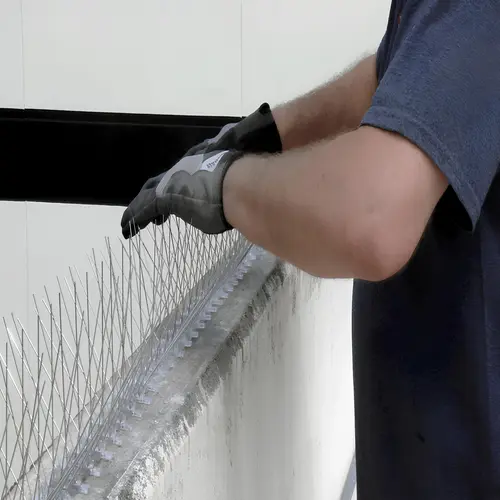 Supreme Netting Pigeon Spikes and Anti Bird Spikes in Jubilee Hills, Banjara Hills, Hi-Tech City, Madhapur, Uppal, Secunderabad, Khairatabad, Ameerpet, Kukatpally, Manikonda, Kondapur, LB Nagar and Hyderabad