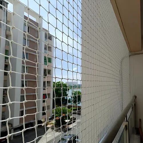 Pigeon Netting Services in Karimnagar and Ramagundam (3)