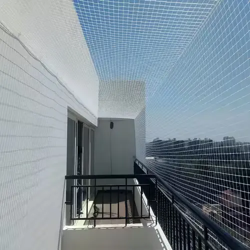 Pigeon Netting Services in Karimnagar and Ramagundam (4)