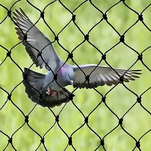 Supreme Netting Pigeon Net for Balcony in Hyderabad, Nizampet, Kokapet, Hi-Tech City, LB Nagar, Kompally, Miyapur, Hyderabad, Manikonda, Khairatabad, Secunderabad, Gachibowli, Kukatpally, Banjara Hills