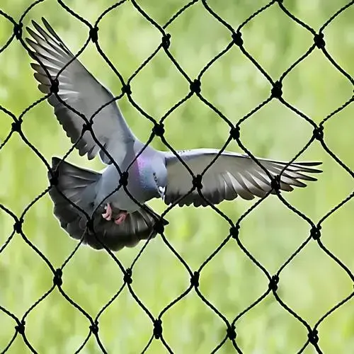 Supreme Netting Pigeon Net for Balcony in Karimnagar, Ramagundam, Suryapet, Nalgonda, Warangal, Khammam, Mahbubnagar, Adilabad, Nizamabad, Medchal–Malkajgiri