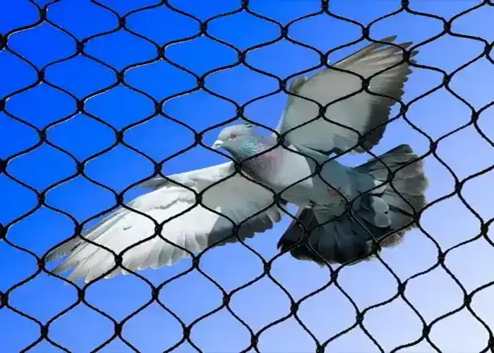 Supreme Netting Pigeon Netting Services in Alwal, Bowenpally, Bolarum, Brundavan Colony, Kokapet, Gandipet, Manikonda, Shaikpet, Tellapur, Narsingi, Khajaguda, Nizampet, Nanakramguda, Osmannagar