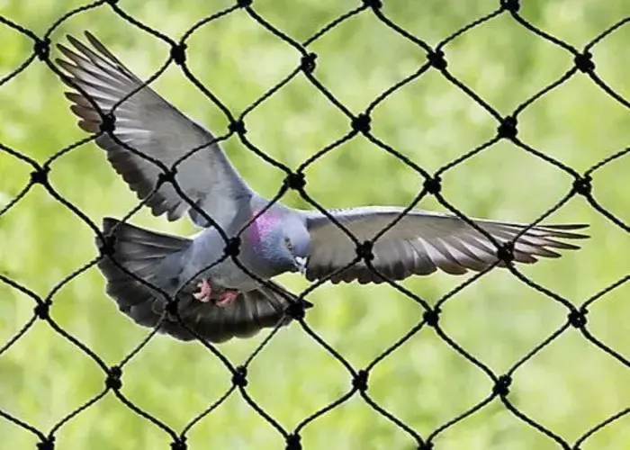 Supreme Netting Pigeon Safety Nets in Alwal, Bowenpally, Bolarum, Brundavan Colony, Kokapet, Nizampet, Manikonda, Gandipet, Shaikpet, Tellapur, Narsingi, Khajaguda, Nanakramguda, Osmannagar